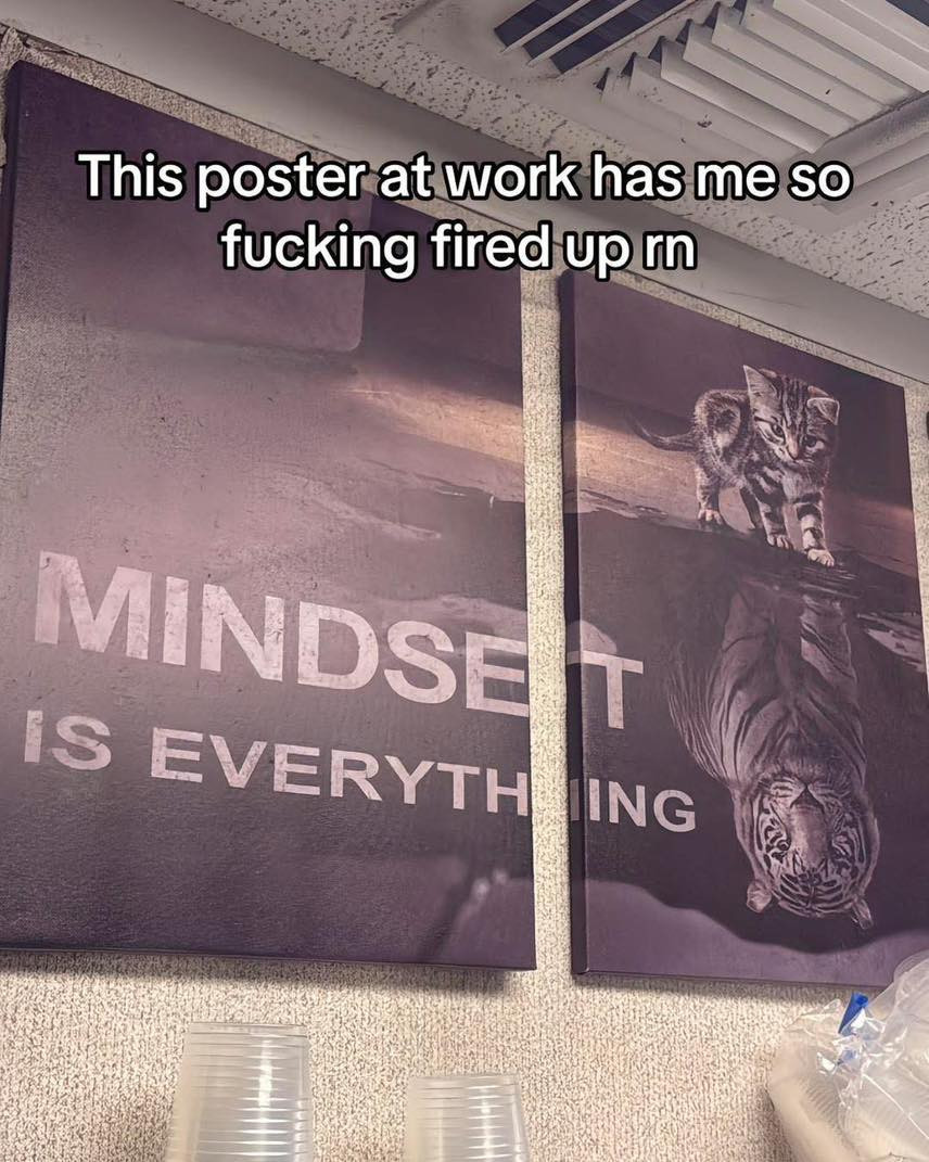 991f6de4-10fb-4452-8465-e14f09d1409b.png