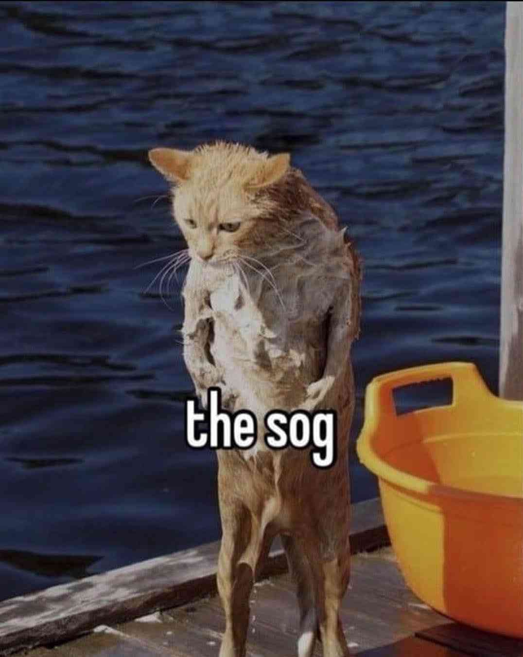 FB_IMG_1753823122303.jpg