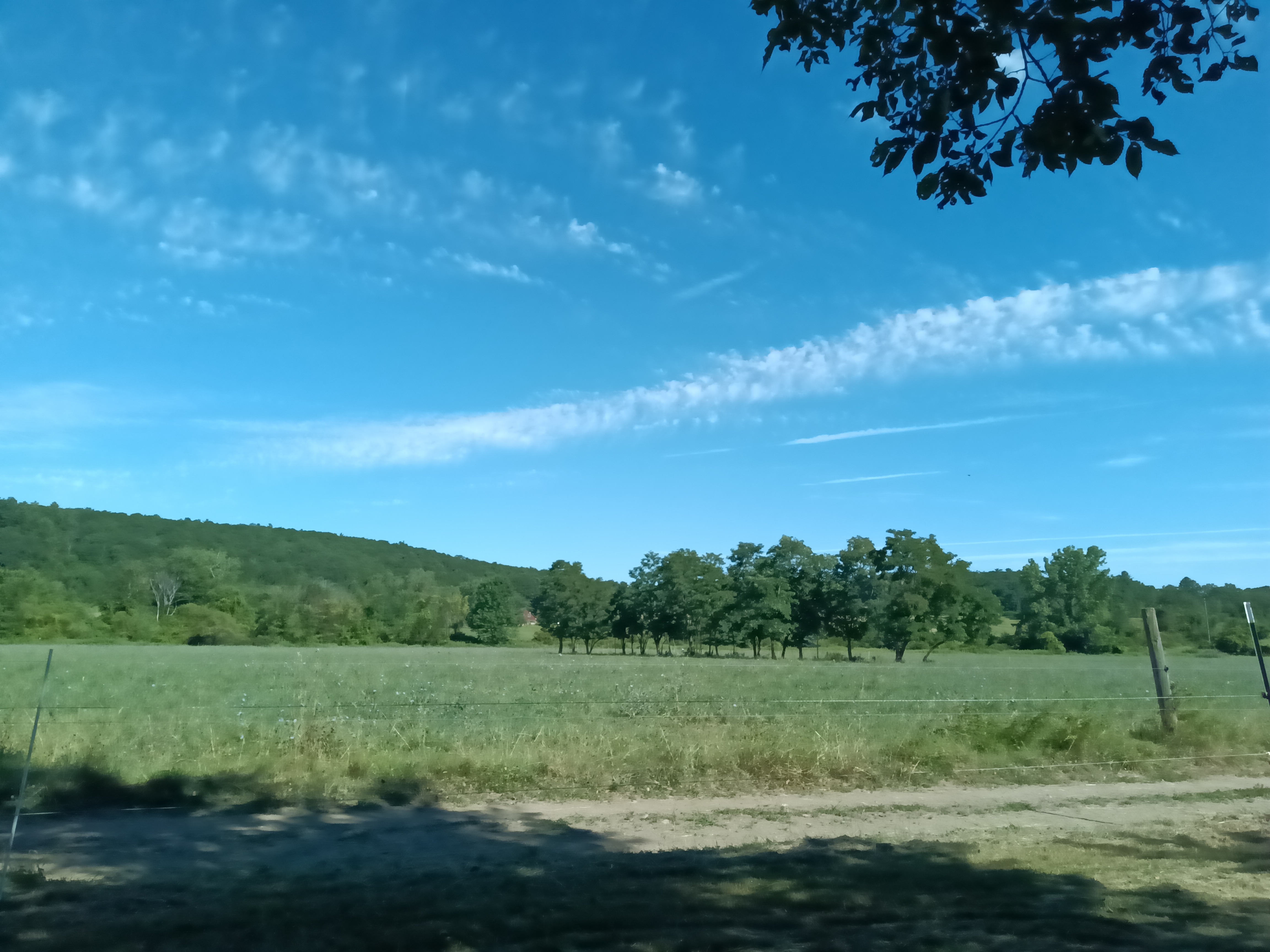 IMG_20250719_093839.jpg