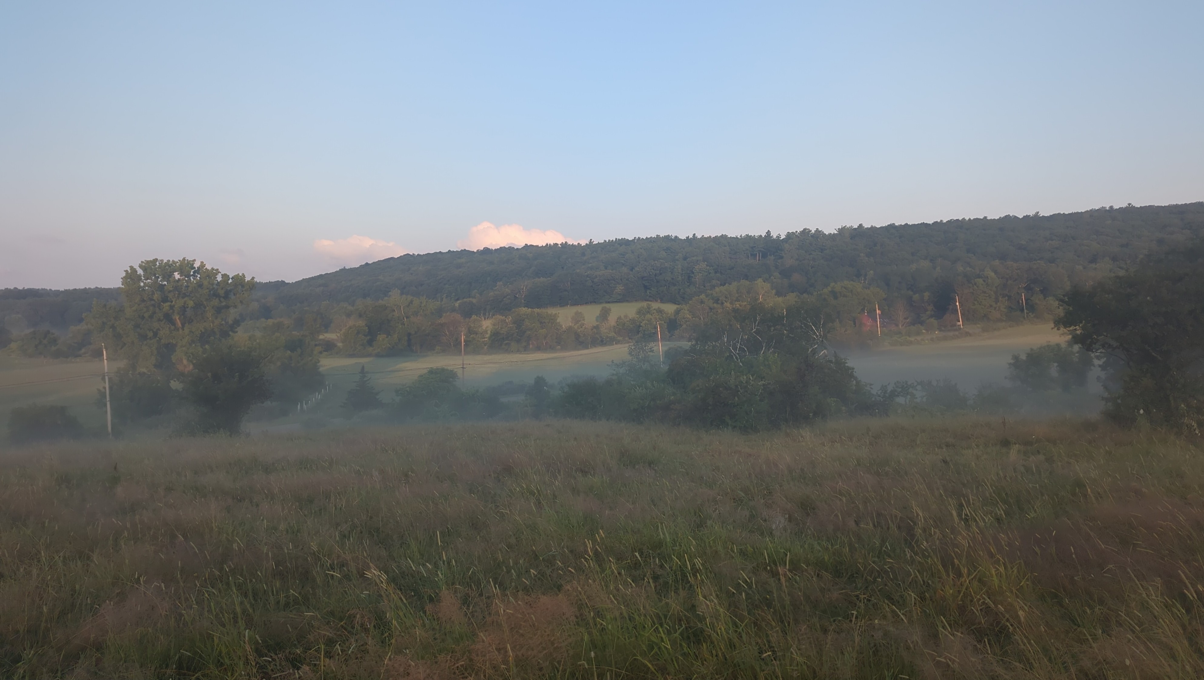 IMG_20250721_061939.jpg