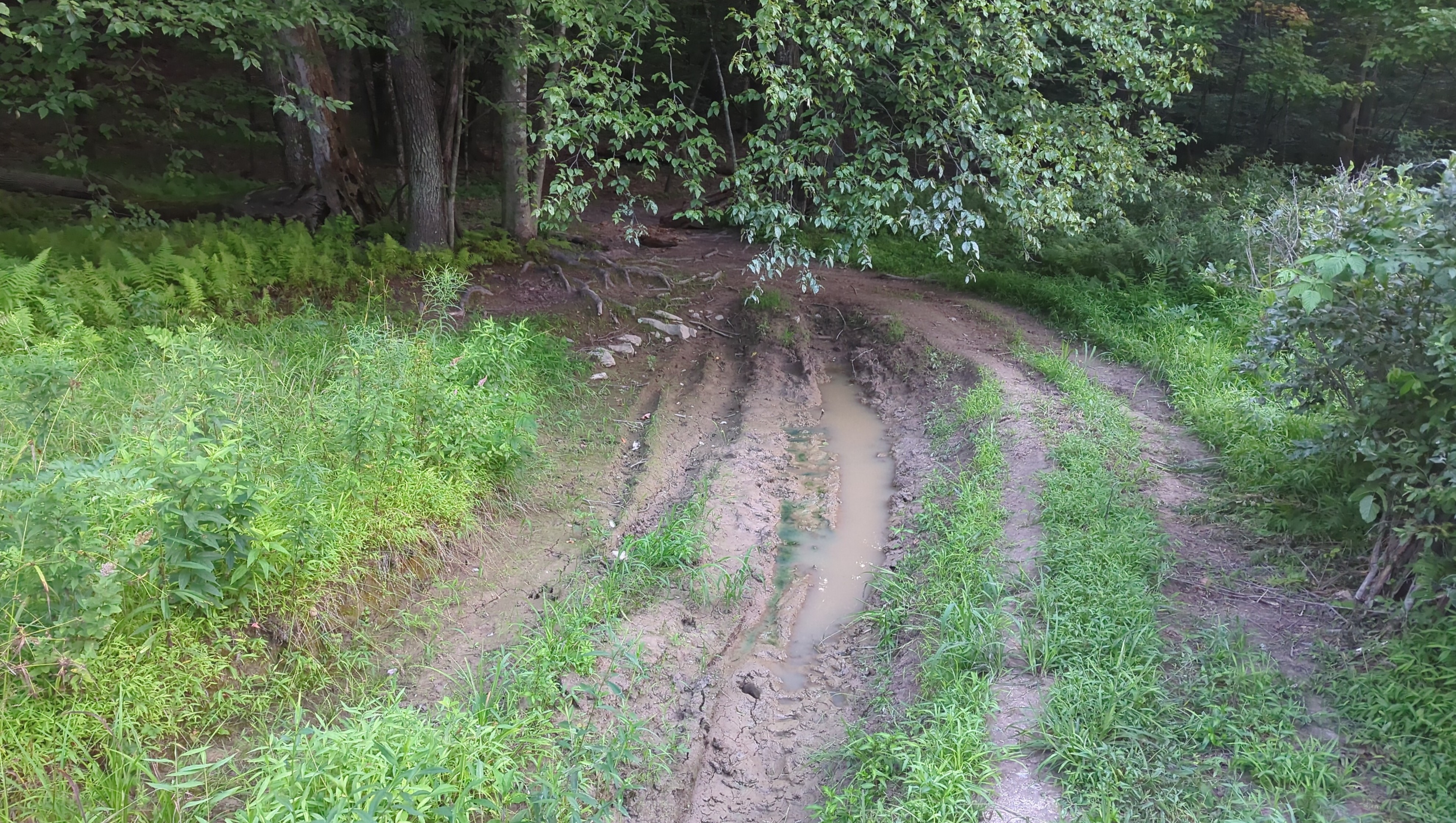 IMG_20250802_200640.jpg