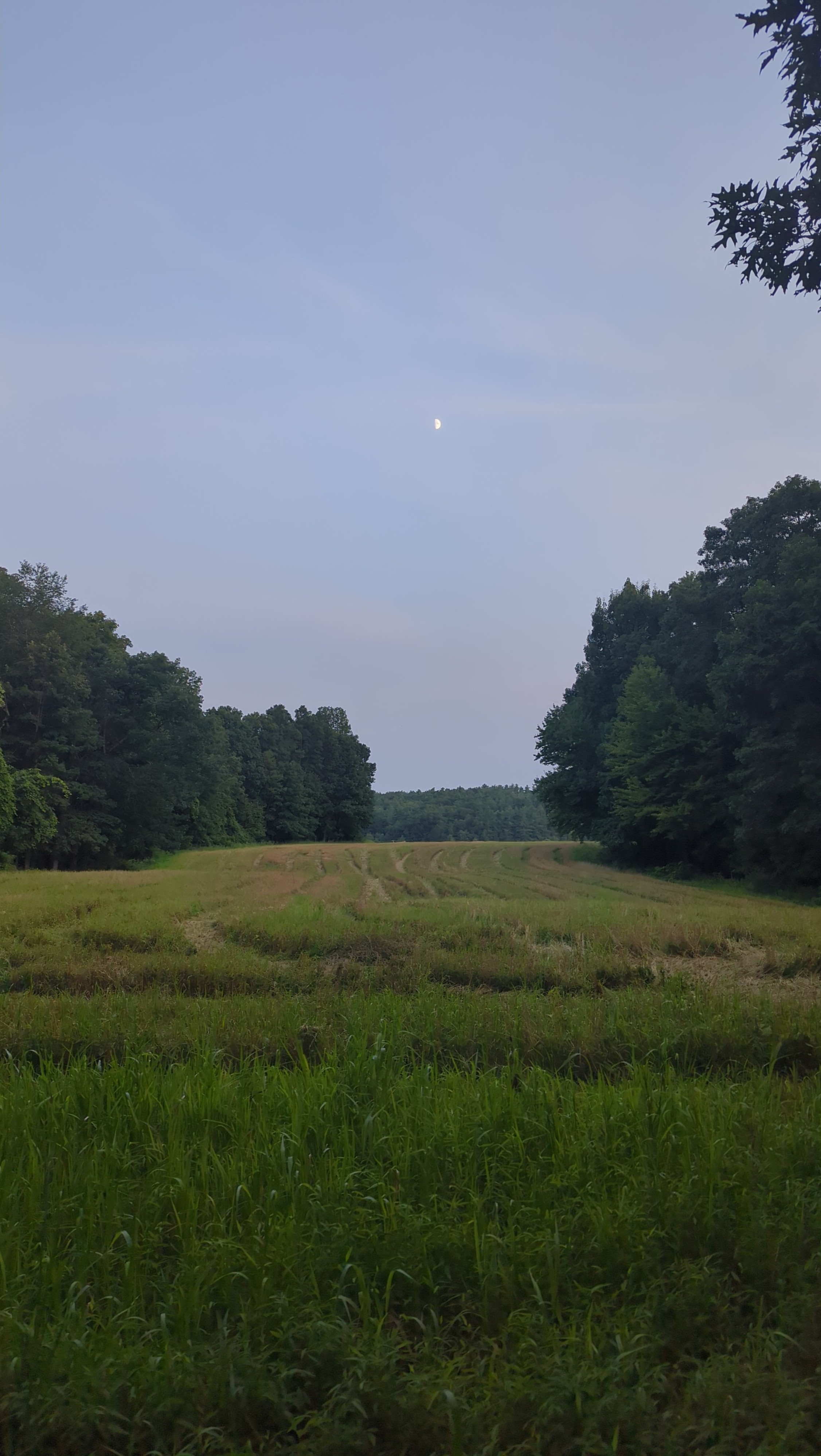 IMG_20250802_201012.jpg