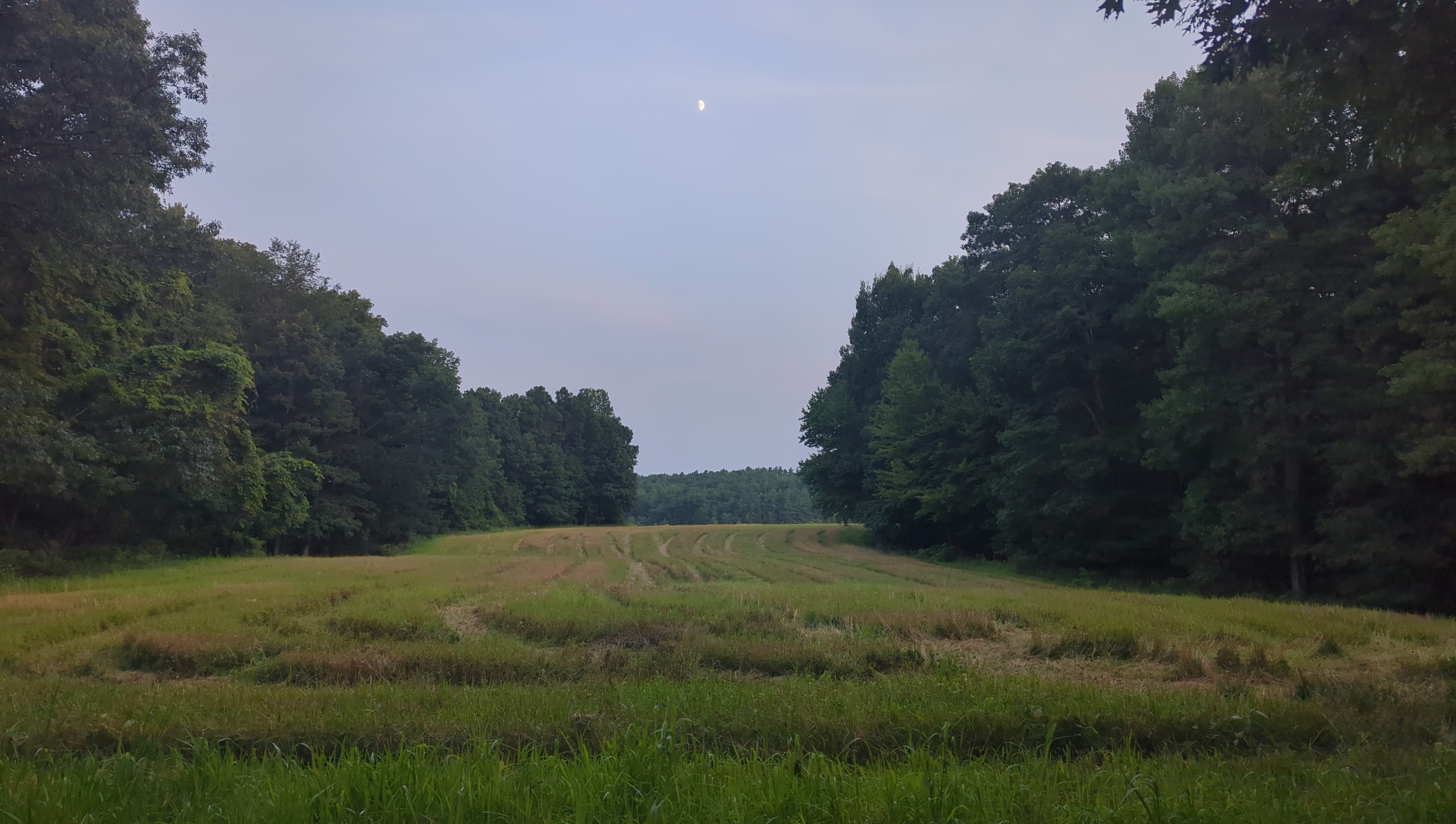 IMG_20250802_201017.jpg