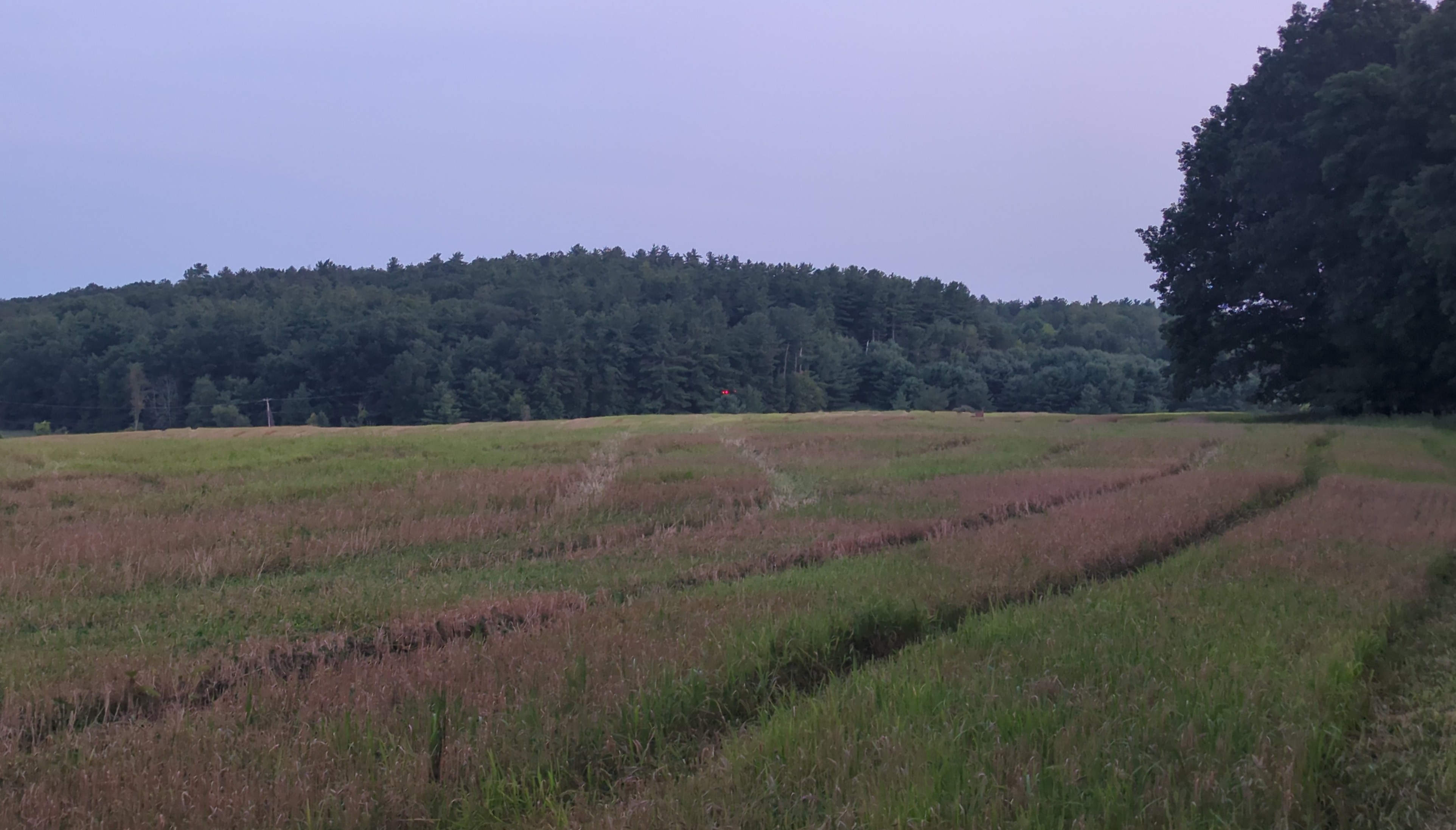 IMG_20250802_201459~2.jpg