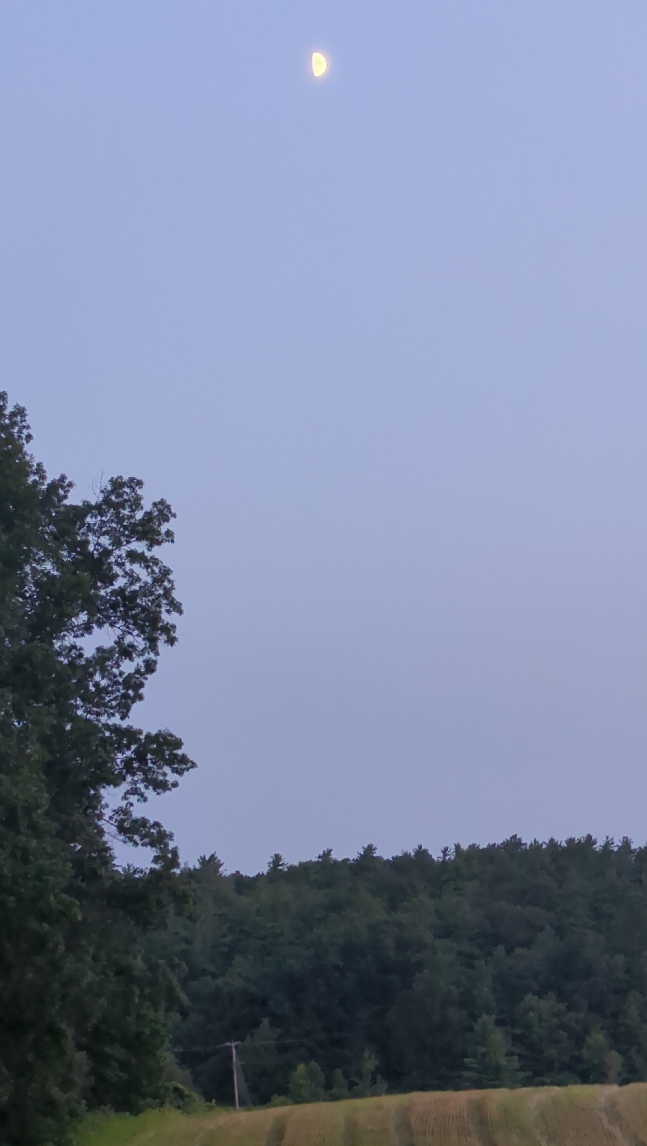 IMG_20250802_202101.jpg