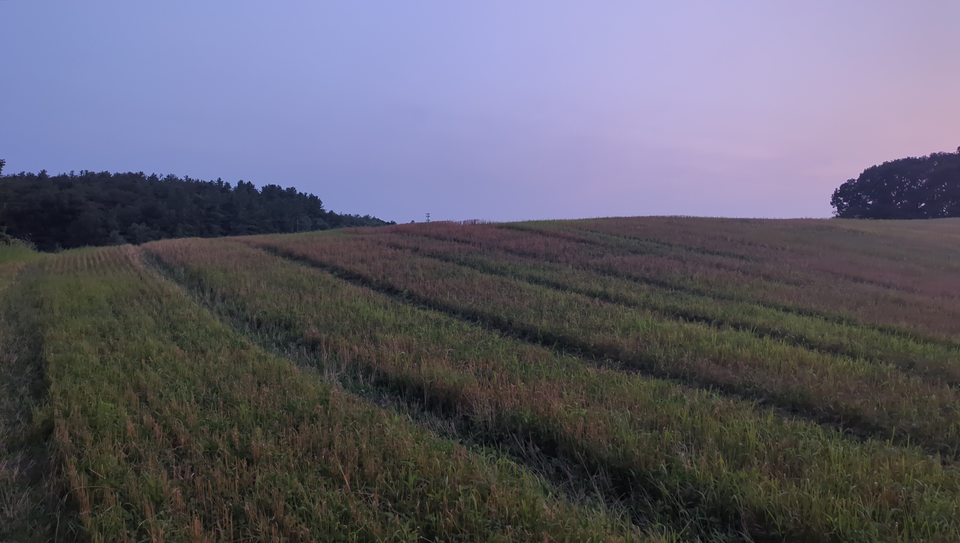 IMG_20250802_202300.jpg