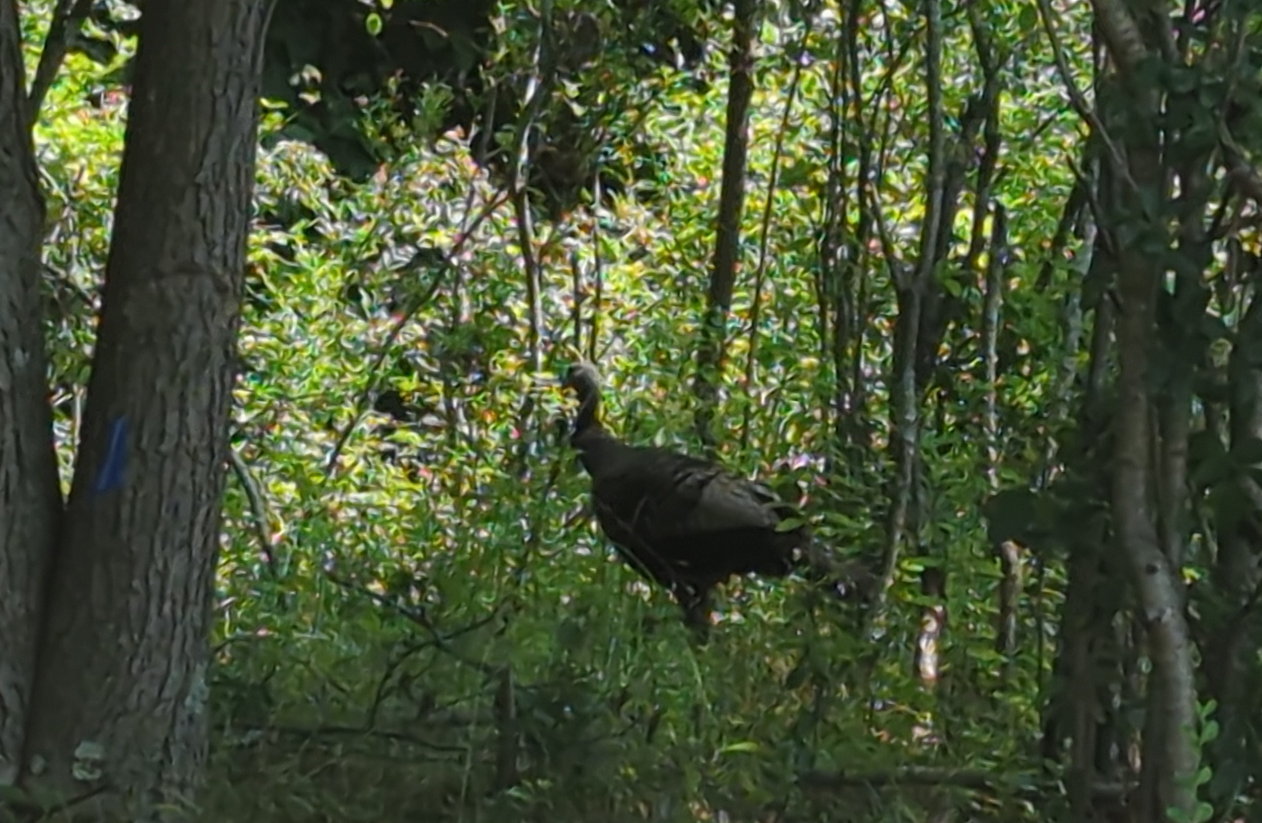 IMG_20250803_133416.jpg