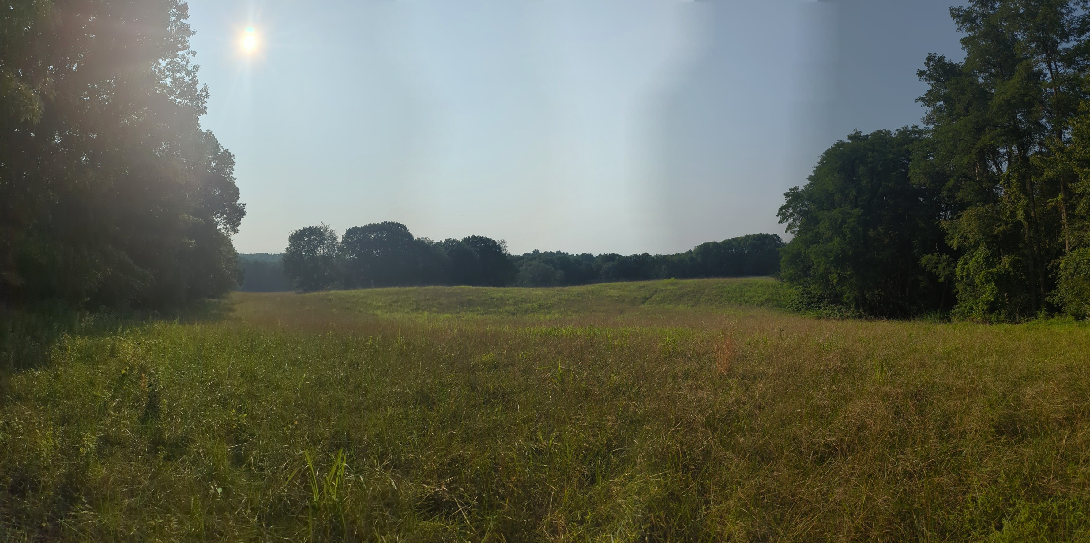 IMG_20250803_174225_PANO.jpg