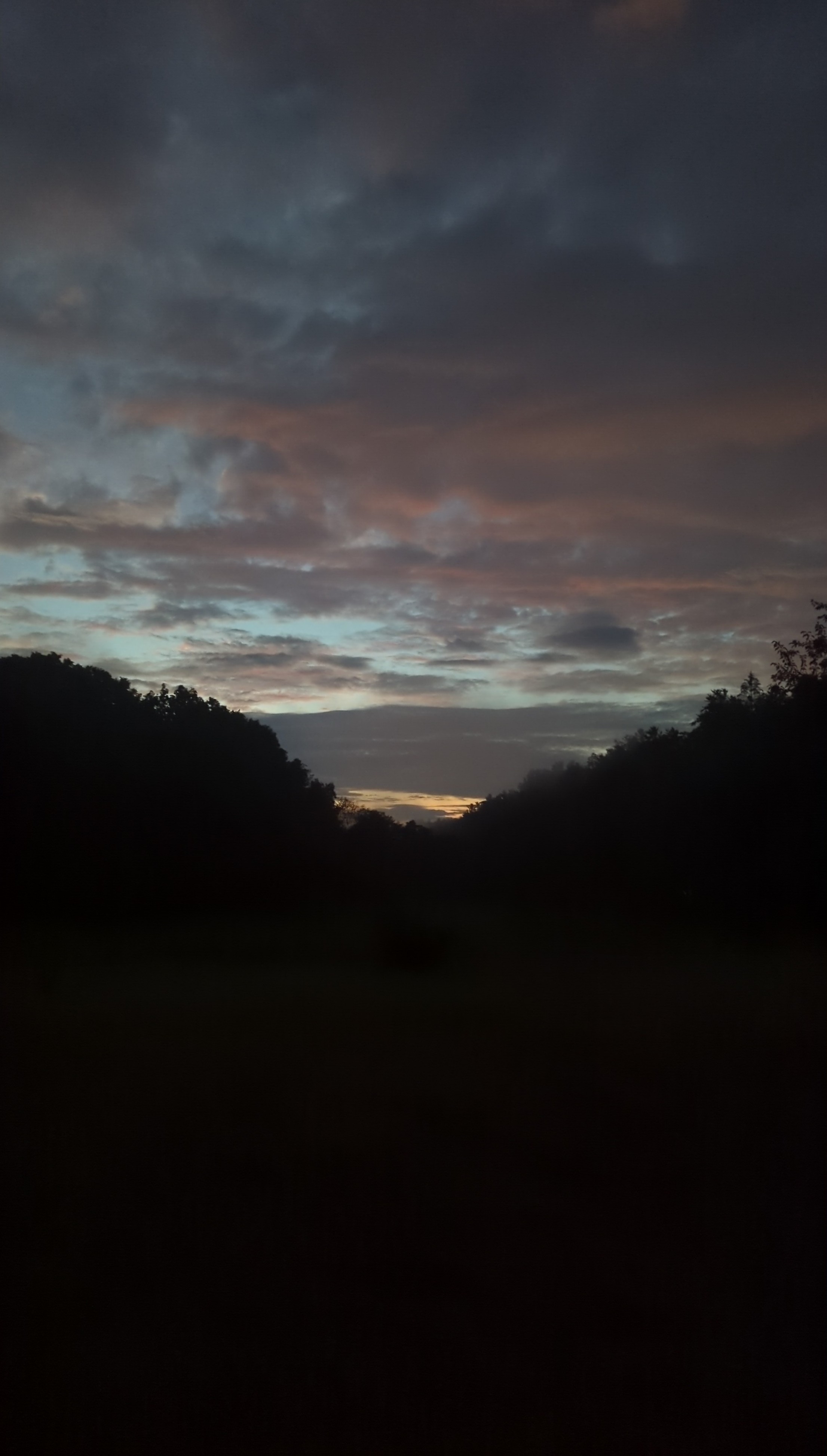 IMG_20250813_203601.jpg