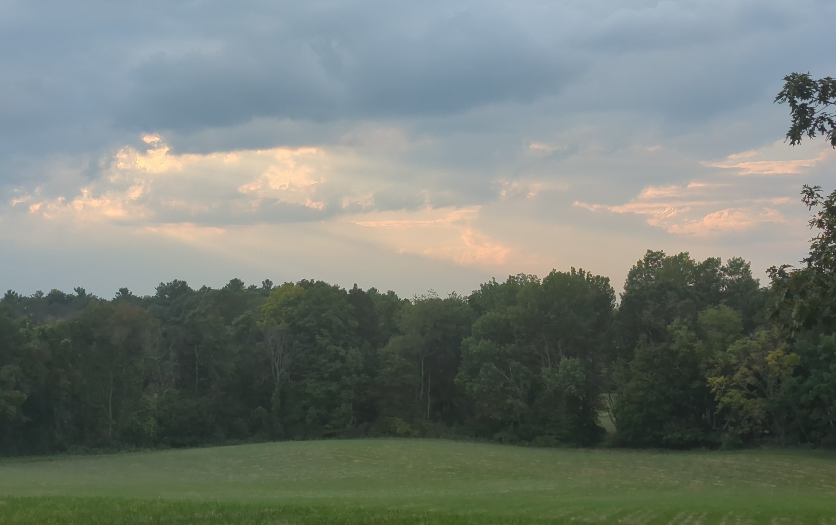 IMG_20250817_190130.jpg