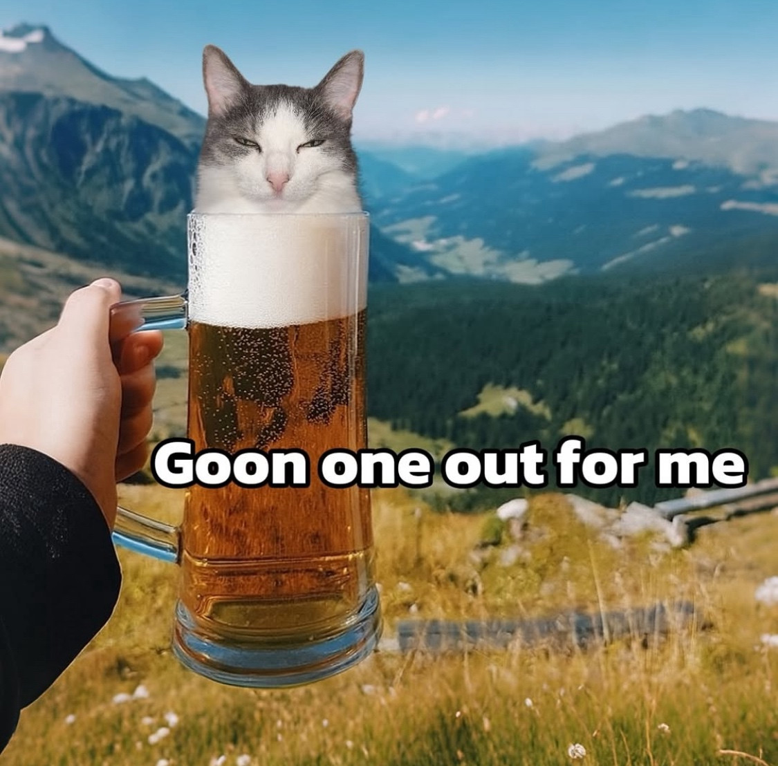 bafkreibfkgbrcsoxkrcggaslvacxs64oenpmmocgrzhydfvn3yc5gi3phe.jpg