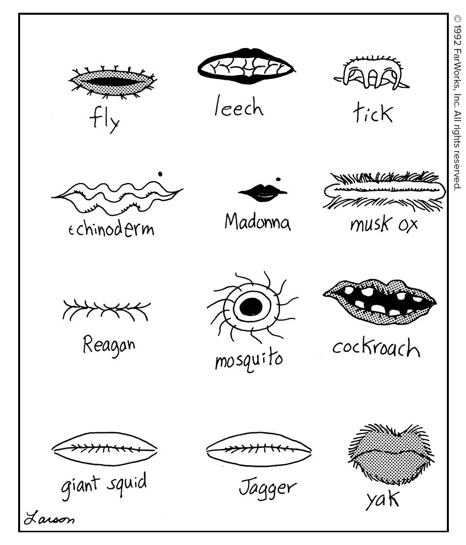 f7060a3b-8e5e-4e7d-abfc-e288db127f33.png